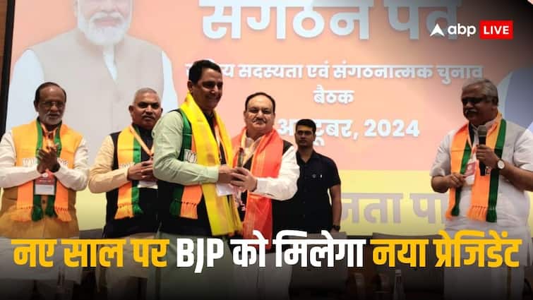 BJP New President Election Process JP Nadda Rajnath Singh Amit Shah Narendra Modi ANN