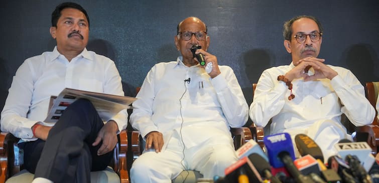 MVA Sharad Pawar nana patole uddhav thackeray lagged behind other small parties in vote Percentage BJP Eknath Shinde Ajit Pawar