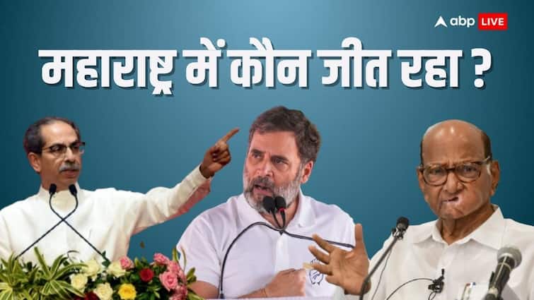 maharashtra election 2024 electoral age pre election survey Congress will increase by 50 percent seat rahul gandhi mva win