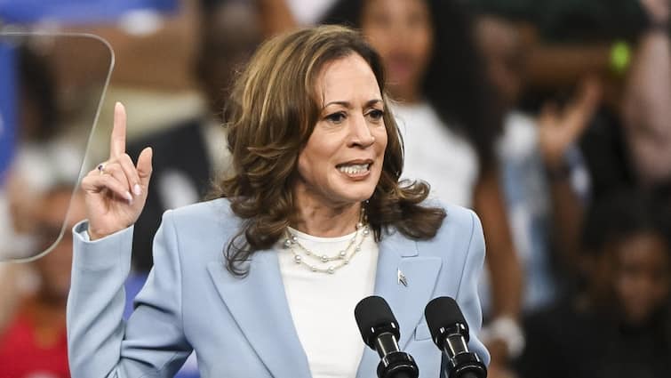 US Presidential Election 2024 Kamala Harris is warrior she will be returned says her native village people