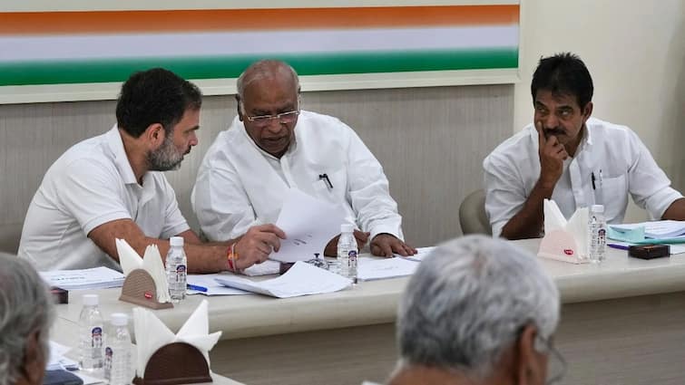 Delhi Assembly Elections 2024 Congress Central Election Committee meeting 35 names will be decided know how the list could be