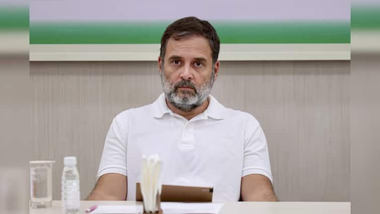 Delhi Election 2025 AAP mentioned Rahul Gandhi’s name in the list of dishonest people