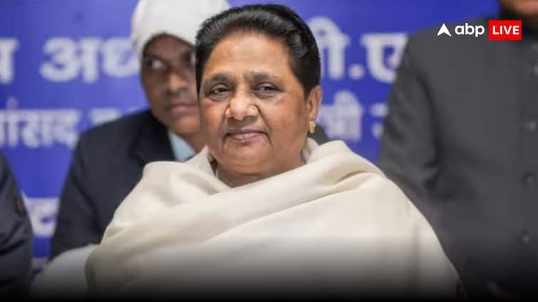 BSP fielded Hindu candidates on Muslim dominated seats in delhi Mayawati message for up