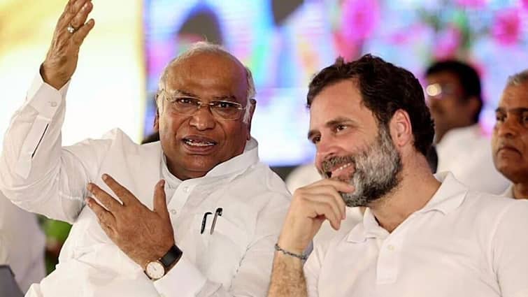 Delhi Assembly Elections 2025 Congress Strategy Blue Print Dalit Muslim Equation dozen of Seats on focus ANN