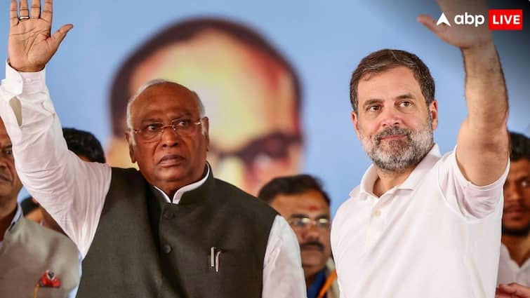 Delhi Assembly Elections 2025 Congress Formed Eagle Committee For Monitor Election