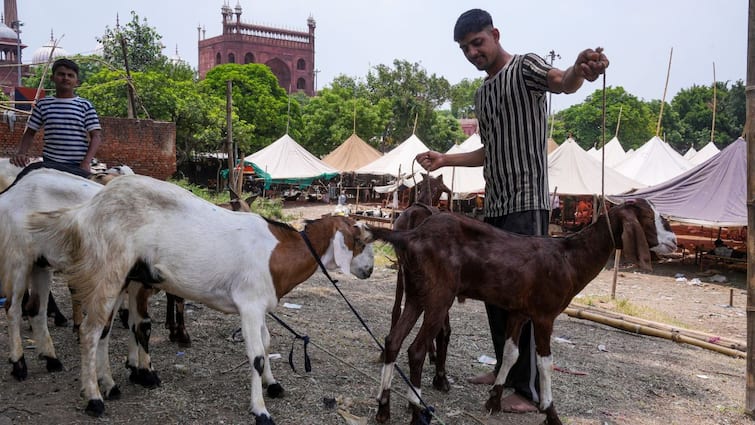 Bakrid Festival Ban on sacrifice of cow calf and camel political Conflict Delhi UP MP Police Issued Advisory