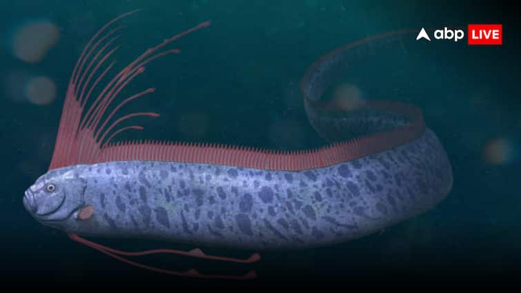 Doomsday Fish: क्या भारत में आने वाली है भयंकर तबाही? दिखा आपदा का सिग्नल, 'समंदर के देवता का दूत' सामने आया