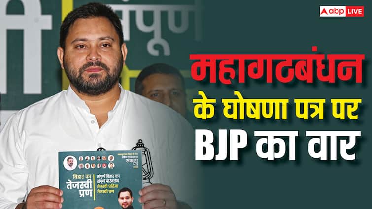 ‘ये प्रण पत्र नहीं है, ये…’, महागठबंधन के Manifesto पर BJP का हमला, कह दी ये बड़ी बात