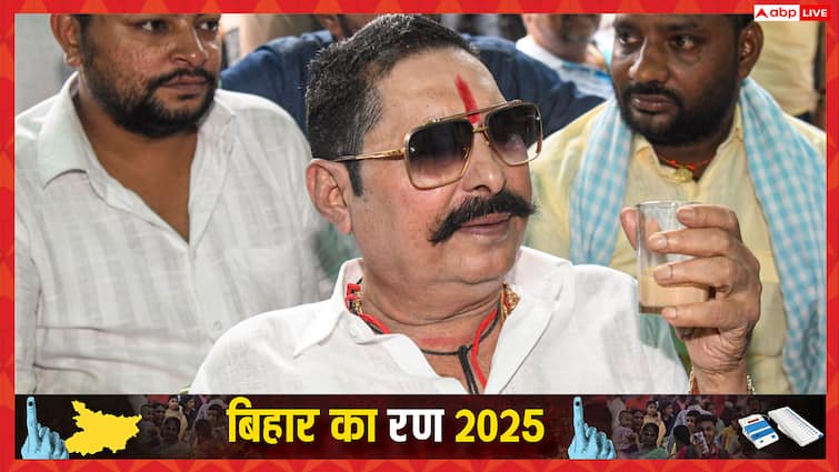 Anant Singh Worth: अनंत सिंह से ज्यादा संपत्तियों की मालकिन हैं उनकी पत्नी नीलम देवी, इन चीजों में किया है भारी निवेश