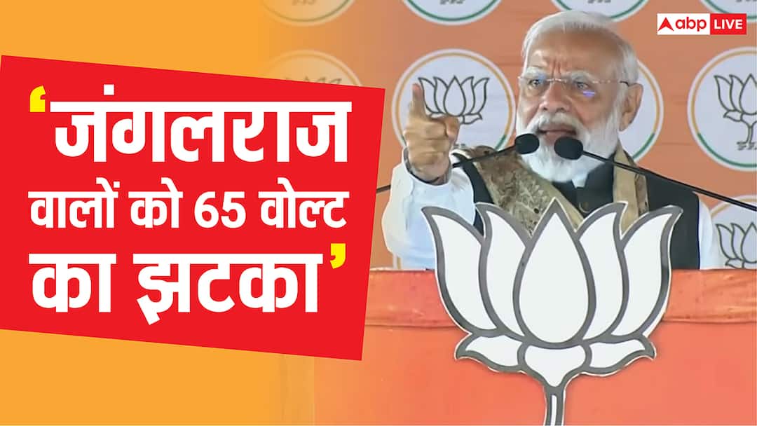 ‘बिहार का बच्चा रंगदार बनना चाहिए या डॉक्टर’, बिहार चुनाव के दूसरे चरण से पहले सीतामढ़ी में RJD पर बरसे पीएम मोदी